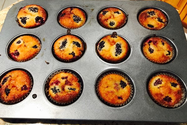 https://completelyketo.com/wp-content/uploads/2017/08/blackberry-muffins.jpg